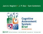 CAS2: Brief Examiner Records Form